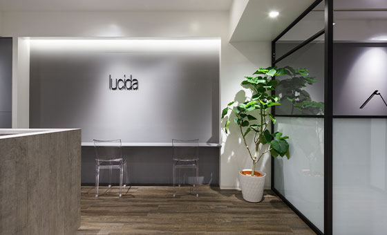 店舗情報 アクセス 銀座 新宿のまつげエクステ専門サロン Lucida ルシーダ